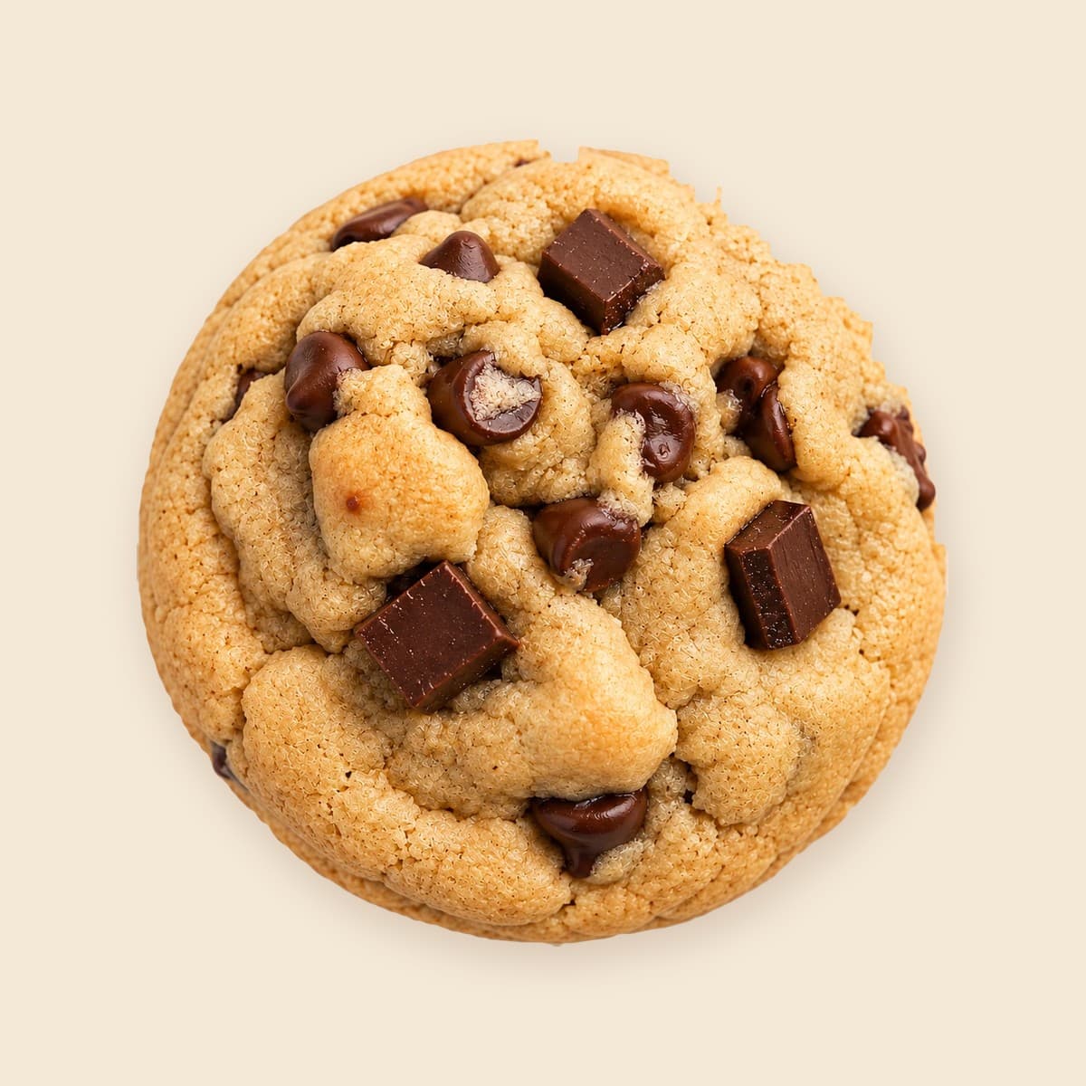 Chocolate Chip