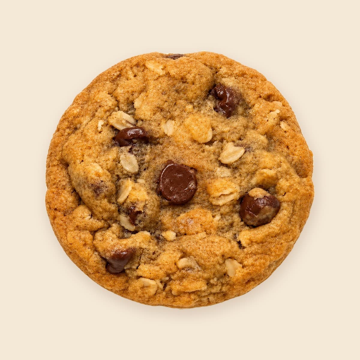 Oatmeal Chocolate Chip